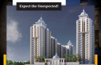 Residential and Commercial property in Noida