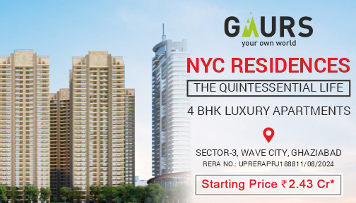 gaurnyc big